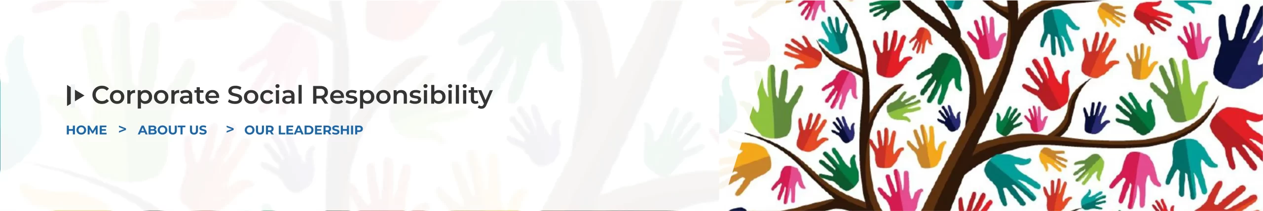 Corporate Social Responsibility